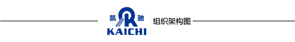 凱(kǎi)馳組織架構圖 91九色蝌蚪.com組織架構(gòu)圖