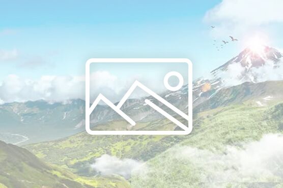 交（jiāo）換機